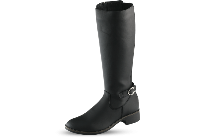 Дамски ботуши в черно